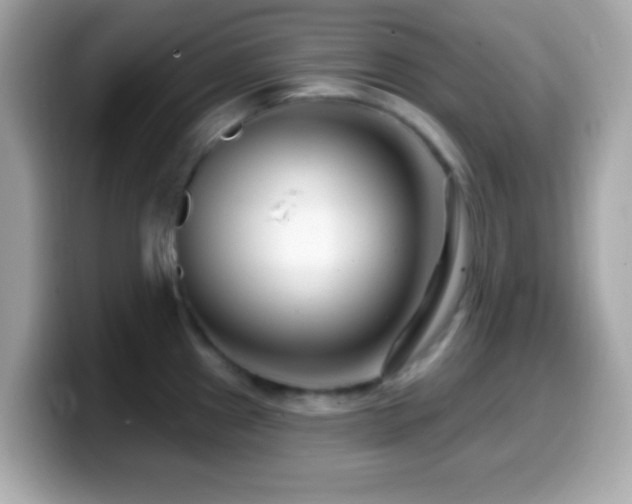 X0000099961241200805231335