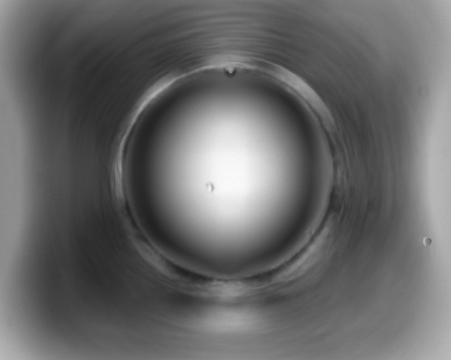 X0000099961242200805231335