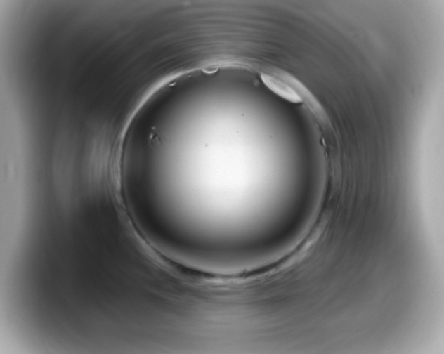 X0000099961244200805231335