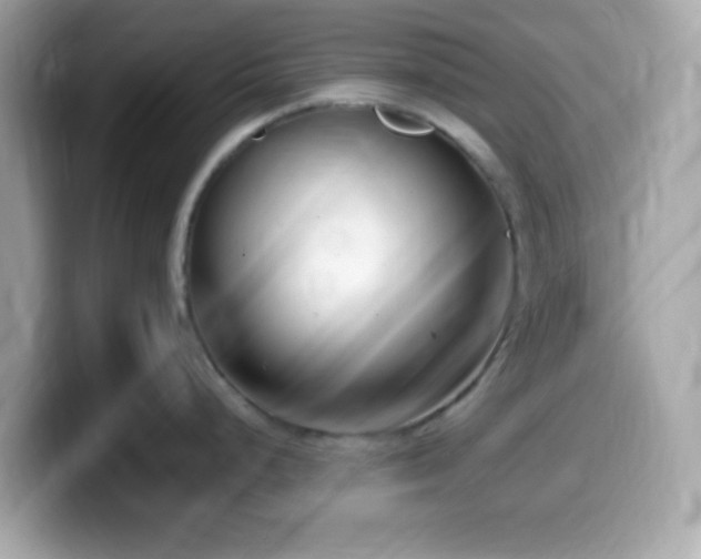 X0000099961248200805231335