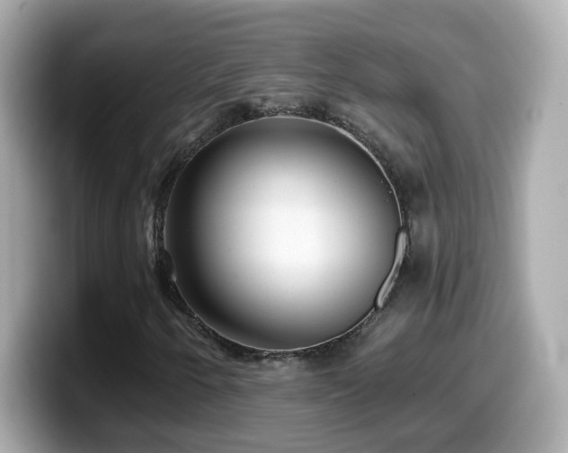 X0000099961250200805231334