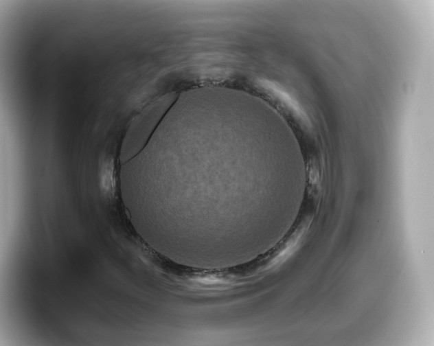 X0000099961252200805231334
