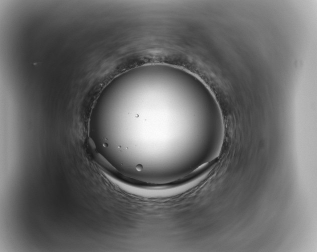 X0000099961253200805231334