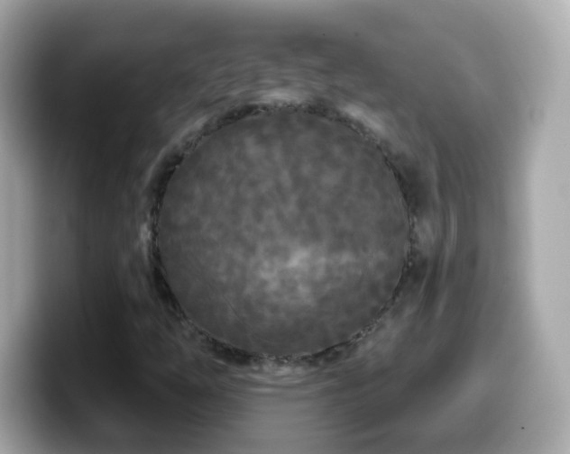 X0000099961254200805231334