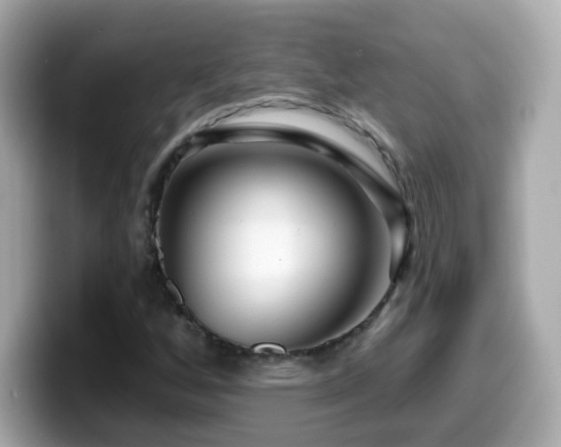 X0000099961256200805231334