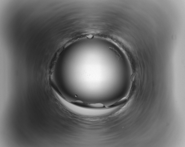 X0000099961257200805231334