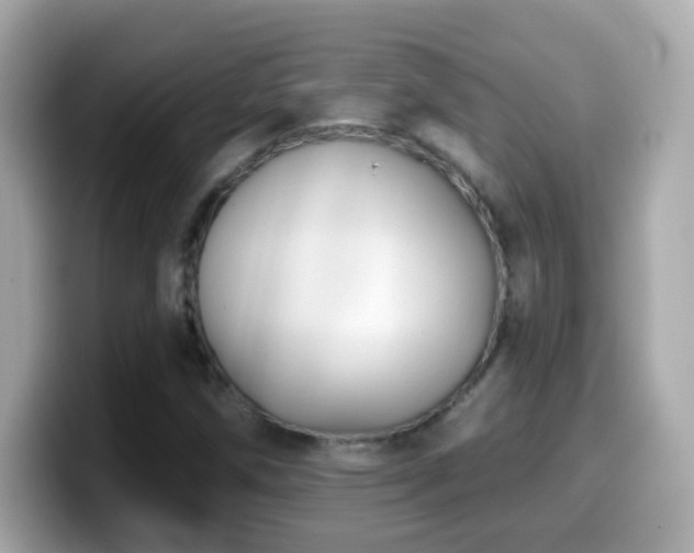 X0000099961258200805231334