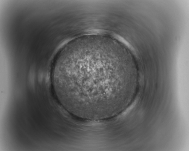 X0000099961259200805231334