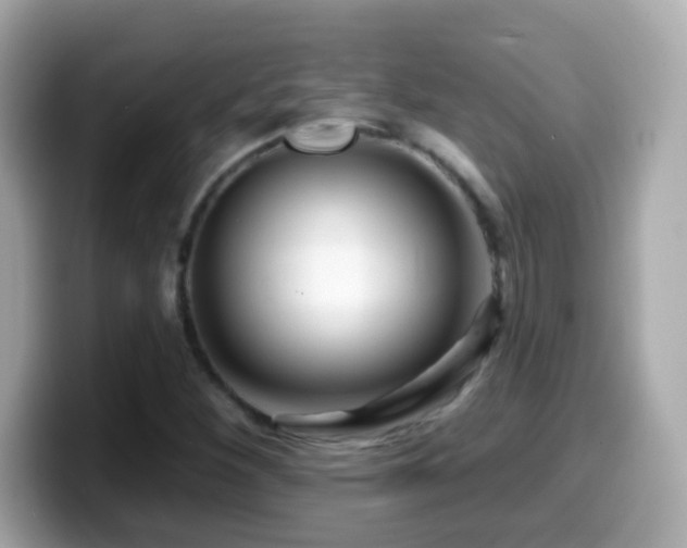 X0000099961260200805231334
