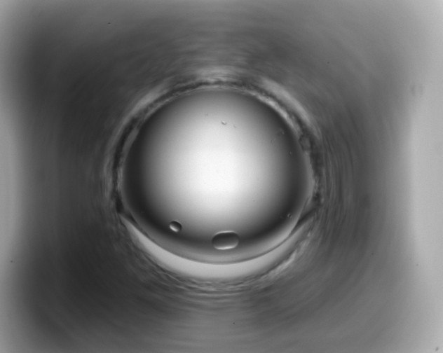 X0000099961261200805231334
