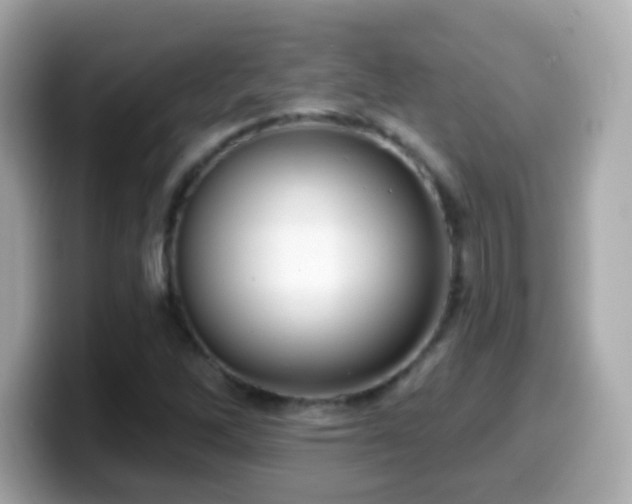 X0000099961262200805231334