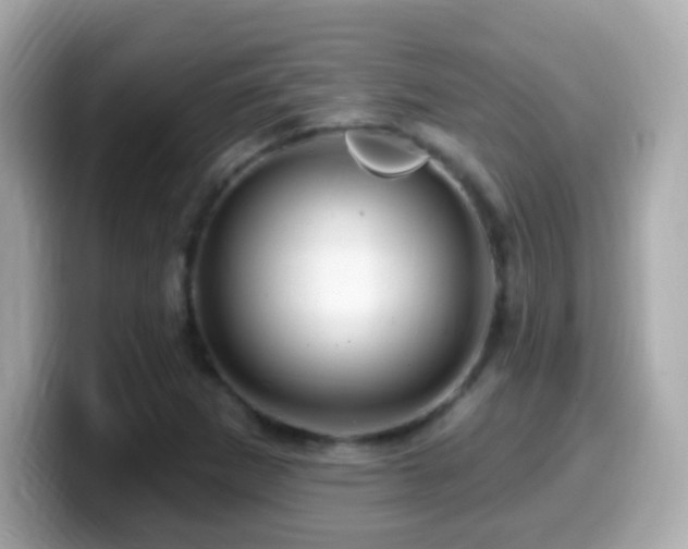 X0000099961265200805231334