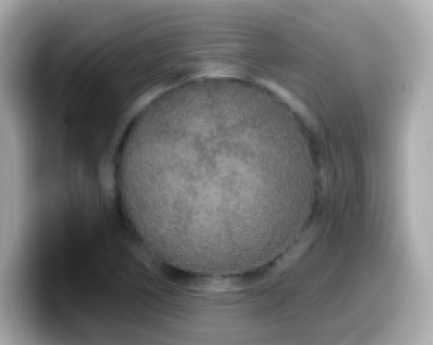 X0000099961266200805231334