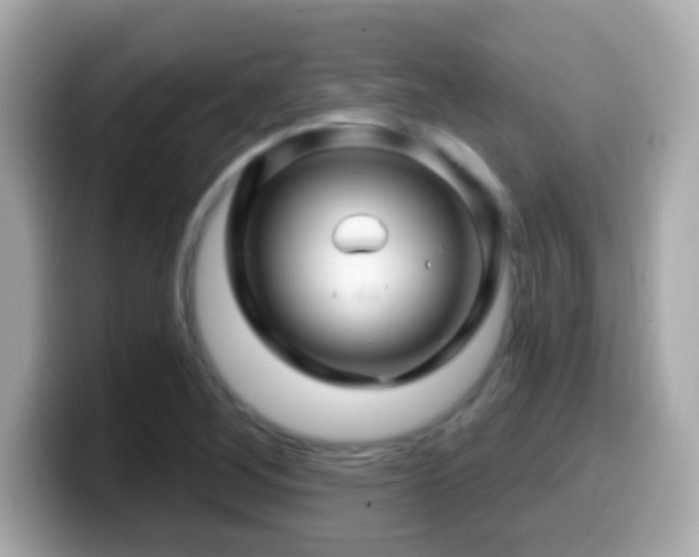 X0000099961268200805231334