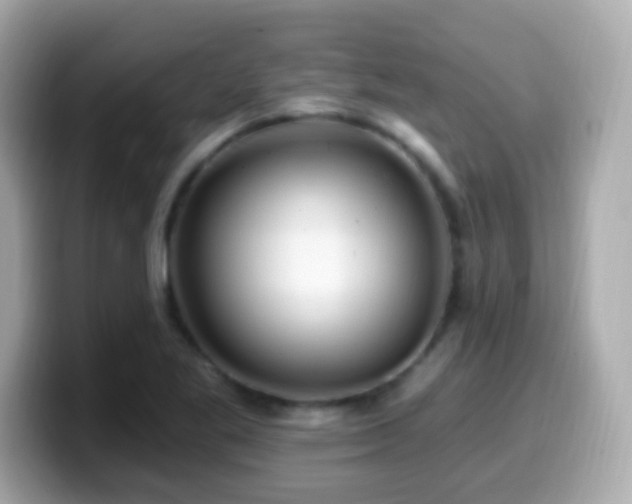 X0000099961269200805231334