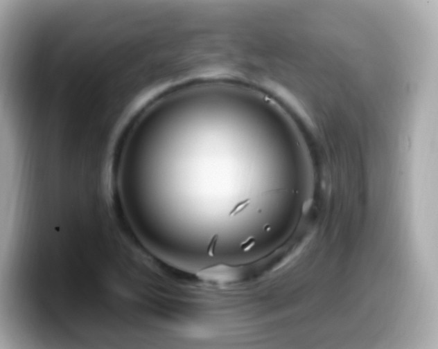 X0000099961270200805231334