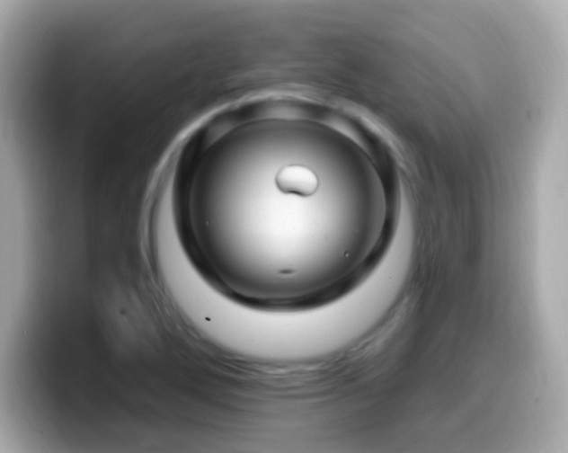 X0000099961272200805231334
