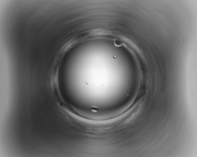 X0000099961273200805231334