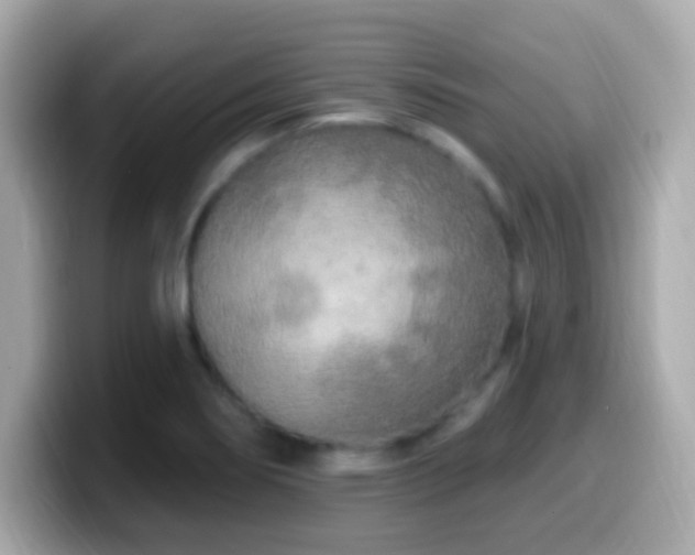 X0000099961274200805231334