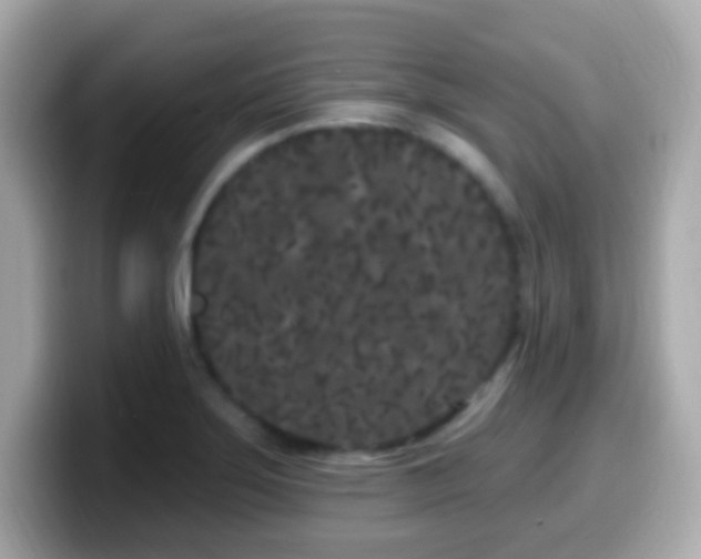 X0000099961275200805231334
