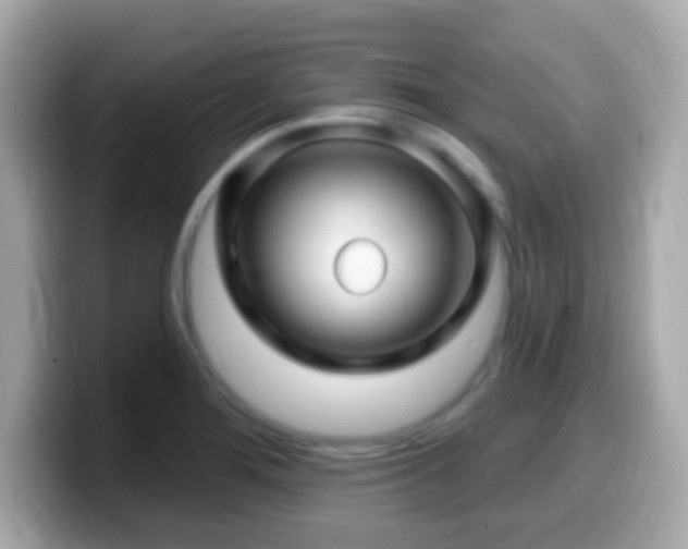 X0000099961276200805231334