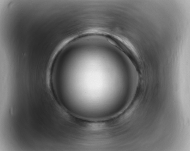 X0000099961277200805231334