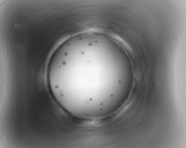 X0000099961278200805231334