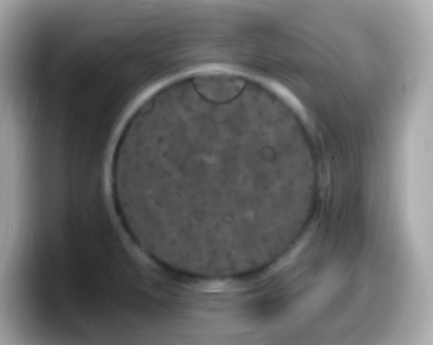 X0000099961279200805231334