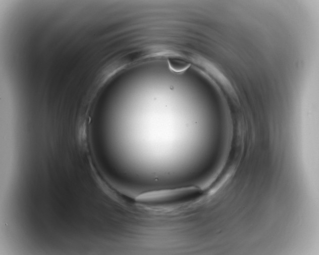 X0000099961281200805231334