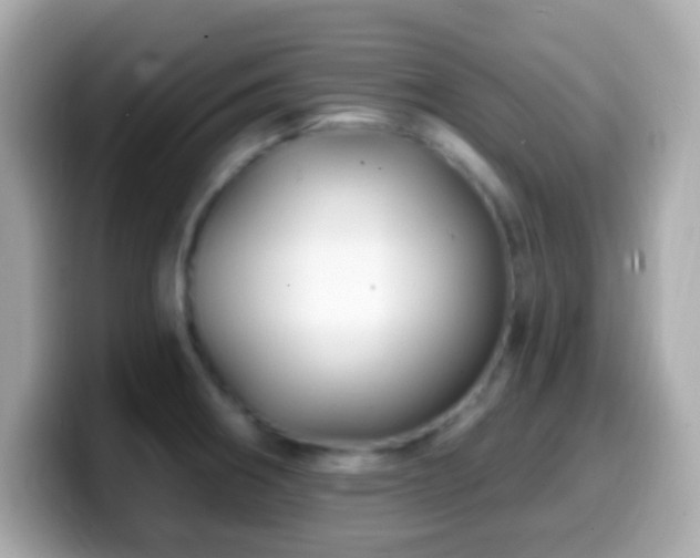 X0000099961282200805231334