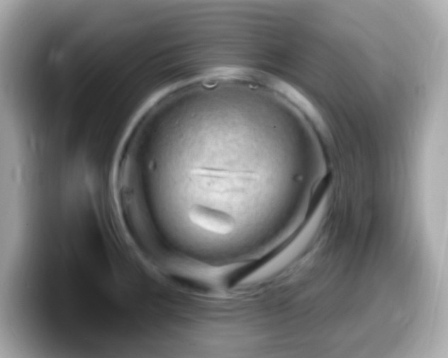 X0000099961283200805231334