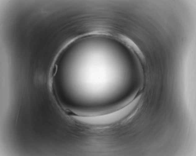 X0000099961284200805231334