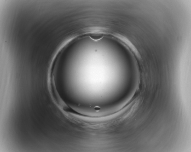 X0000099961285200805231334