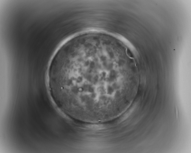 X0000099961287200805231334