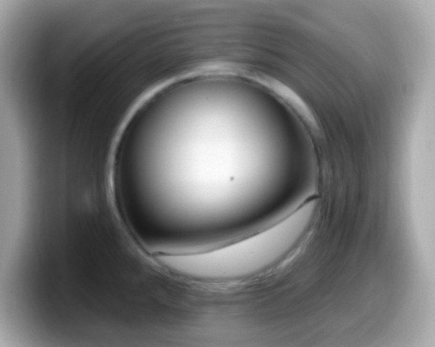 X0000099961288200805231334