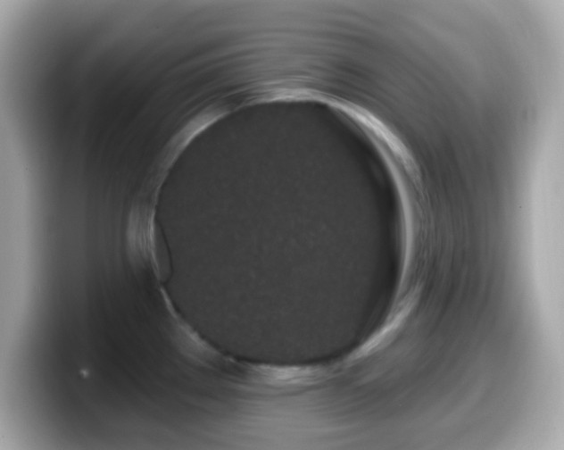 X0000099961289200805231334