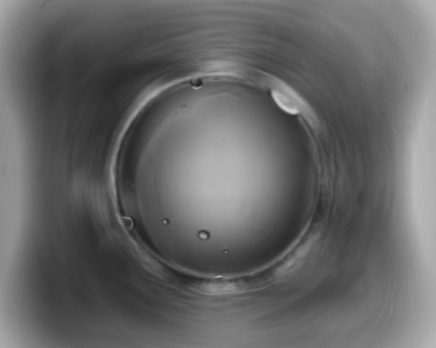 X0000099961291200805231334