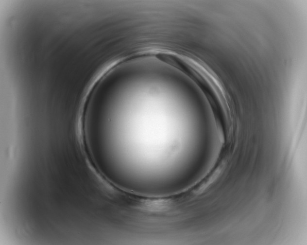X0000099961293200805231334