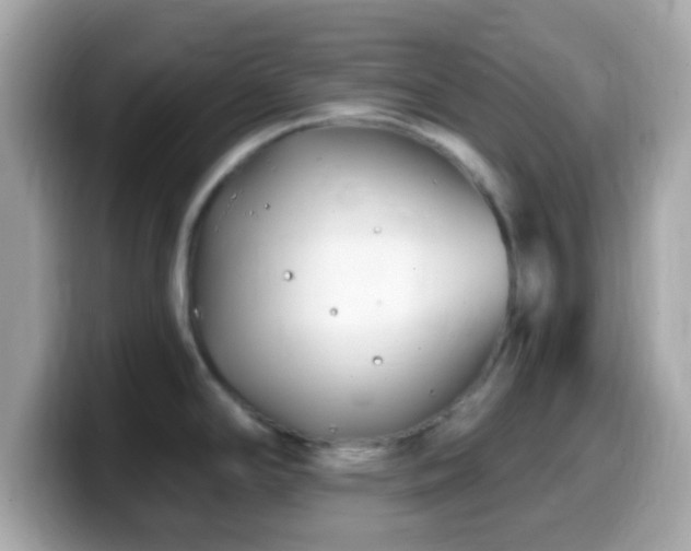 X0000099961294200805231334