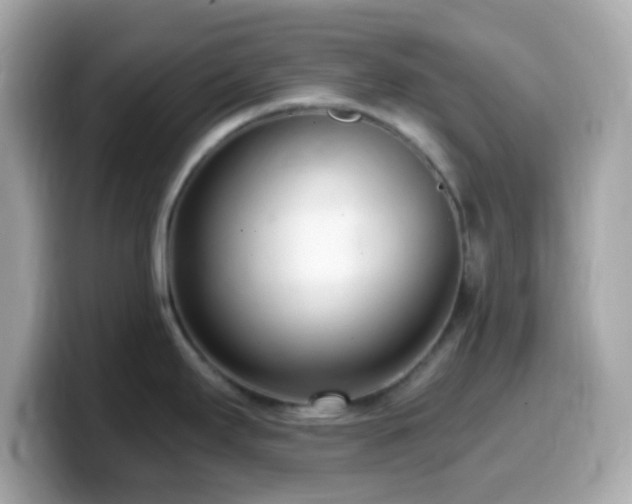 X0000099961295200805231334