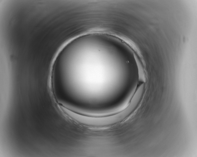 X0000099961296200805231334