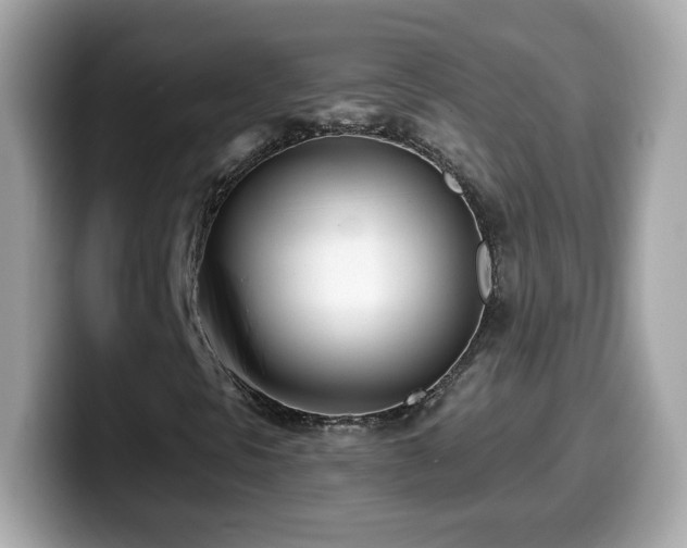 X0000099961297200805231333