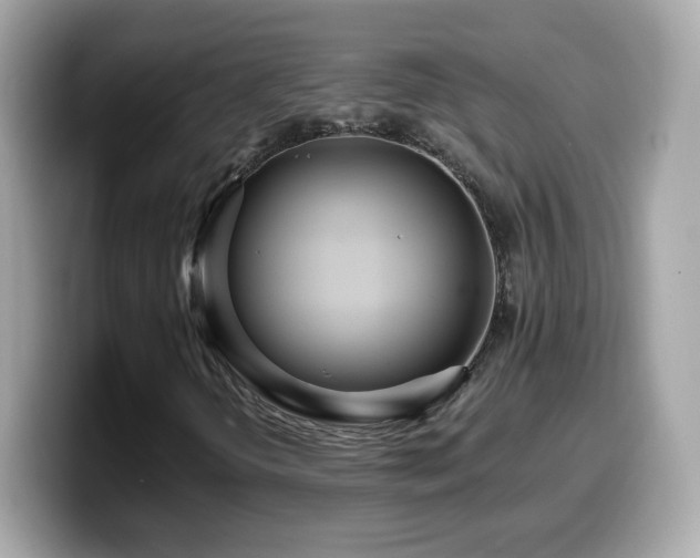 X0000099961298200805231333
