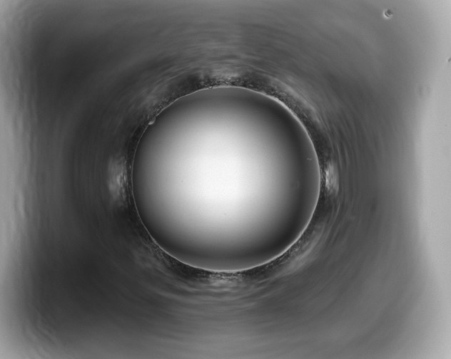 X0000099961299200805231333