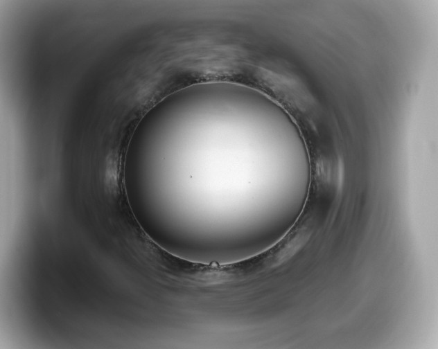 X0000099961300200805231333