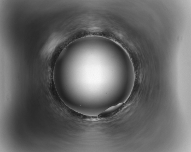 X0000099961301200805231333