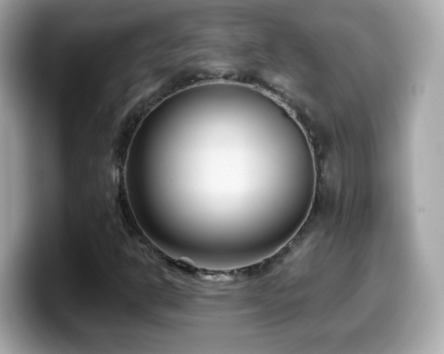 X0000099961302200805231333