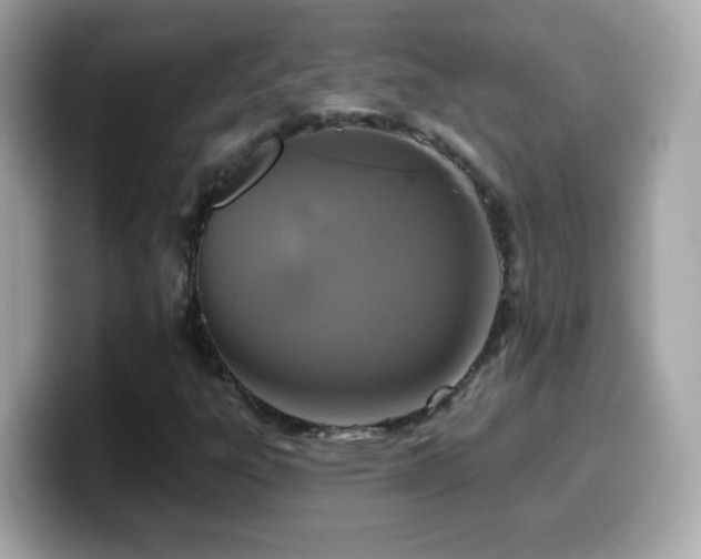 X0000099961303200805231333