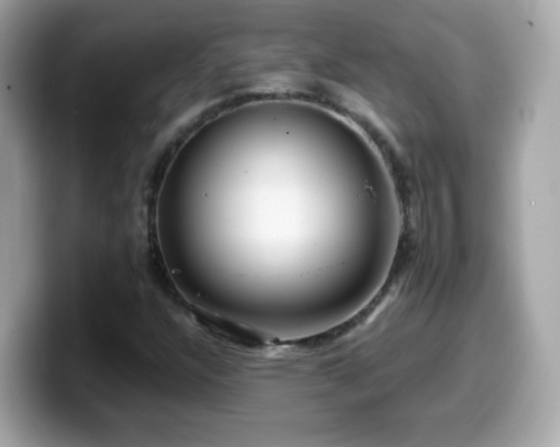 X0000099961304200805231333