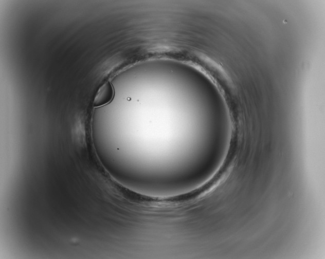 X0000099961305200805231333